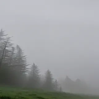 foggy background