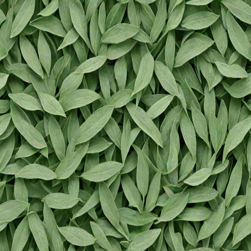 sage green images