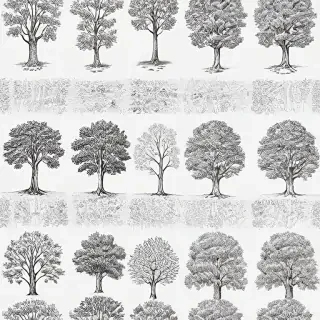 images of trees for drawing
