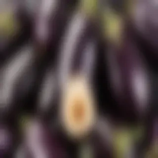 eggplant png