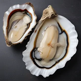 oysters png