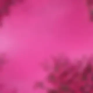 hot pink background
