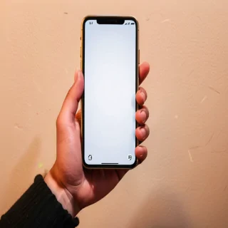 holding phone