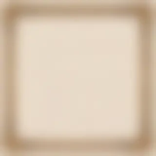 fancy frame png