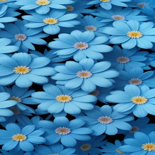blue colour flower wallpaper