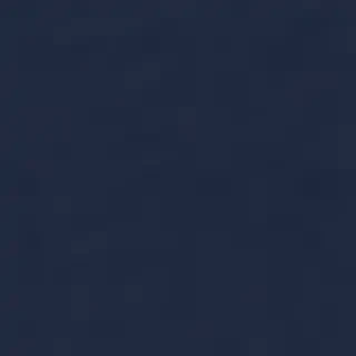 navy blue bg