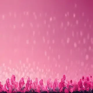 pink wallpapers