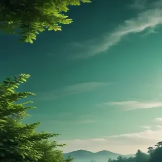 green background wallpaper aesthetic