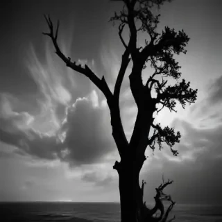 black and white wallpaper iphone