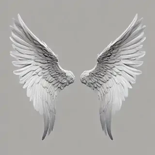 png angel wings