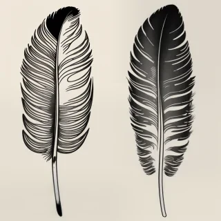 feather design