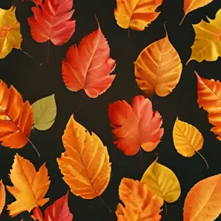 autumn leaf png