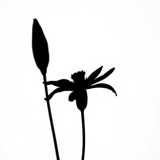 Generate a high-resolution image of a black silhouette of a flower against a white background, using a DSLR camera with an aperture of f/2.8, ISO 100, and a focal length of 50mm, taken from a front view in a soft natural light setting.