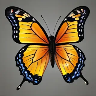 butterfly png outline
