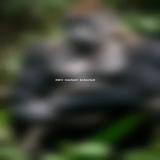 gorilla png