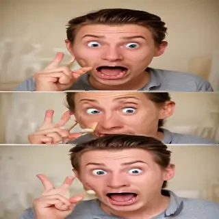 funny photos