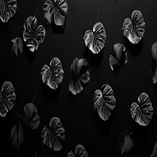 black aesthetic iphone wallpaper