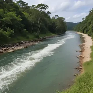 river png