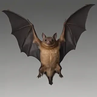 bat png