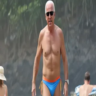 joe biden bikini