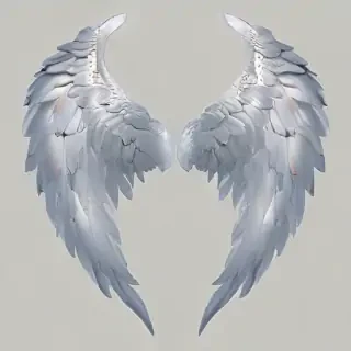 transparent angel wings png