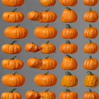 pumpkin png