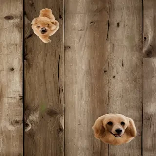 dogs wallpaper