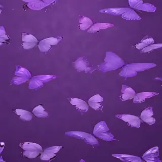 wallpaper purple butterfly