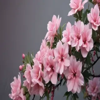 cute and simple wallpapers