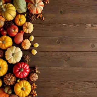 happy thanksgiving