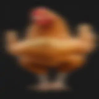 chicken png