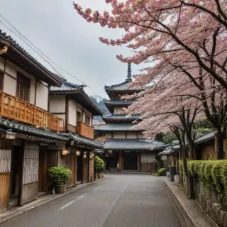 freeuse japan
