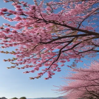 spring iphone background