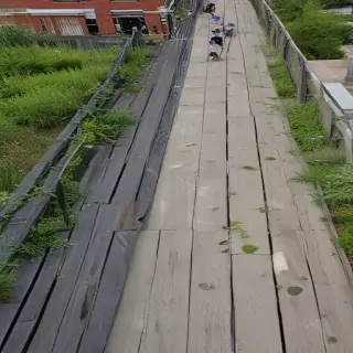 high line photos