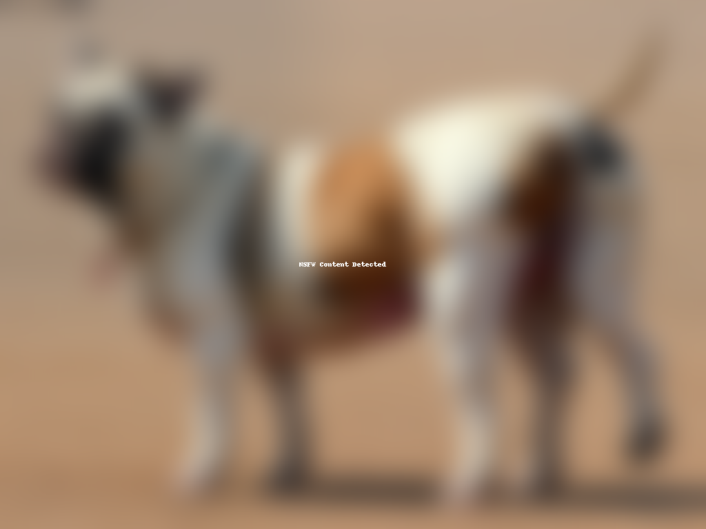 bull arab dog breed