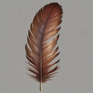 feather png