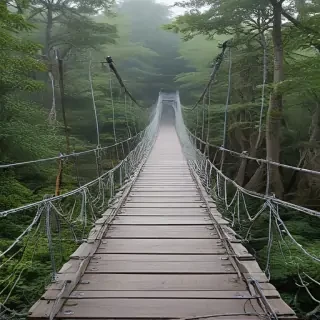 suspension bridge