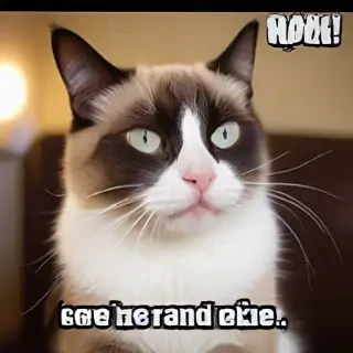 meme sounds