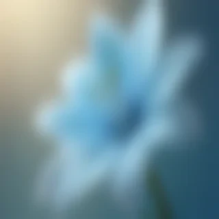 light blue wallpapers