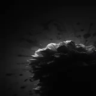 cool black wallpaper for iphone