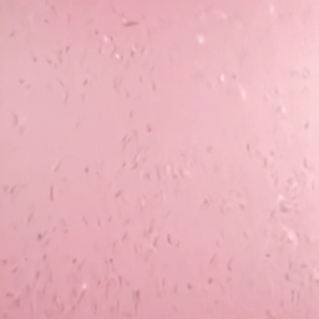 plain light pink background