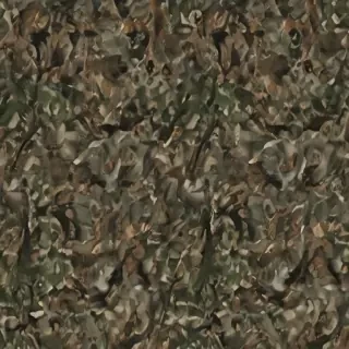 camo png