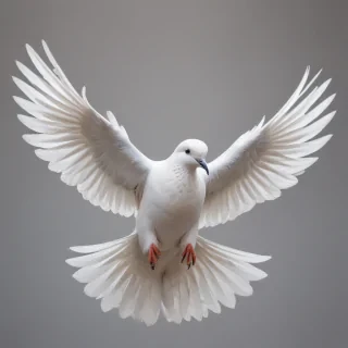 dove png
