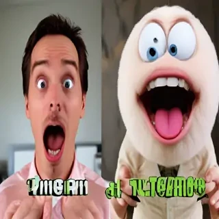 funny videos