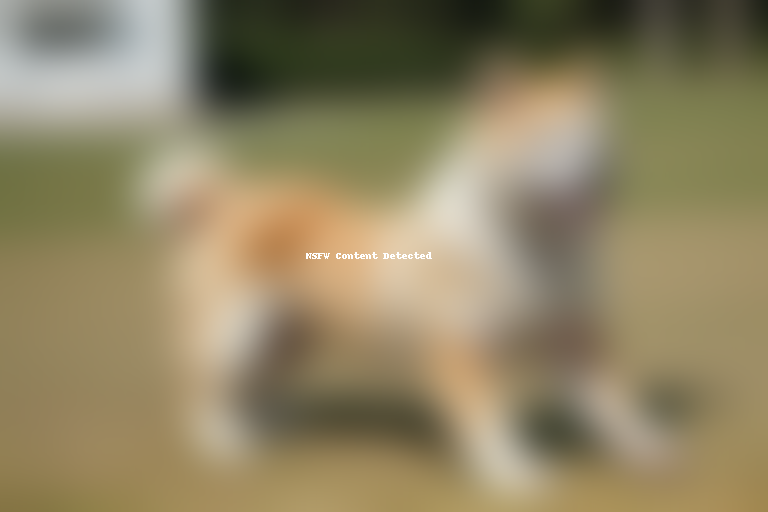 akita pit dog breed