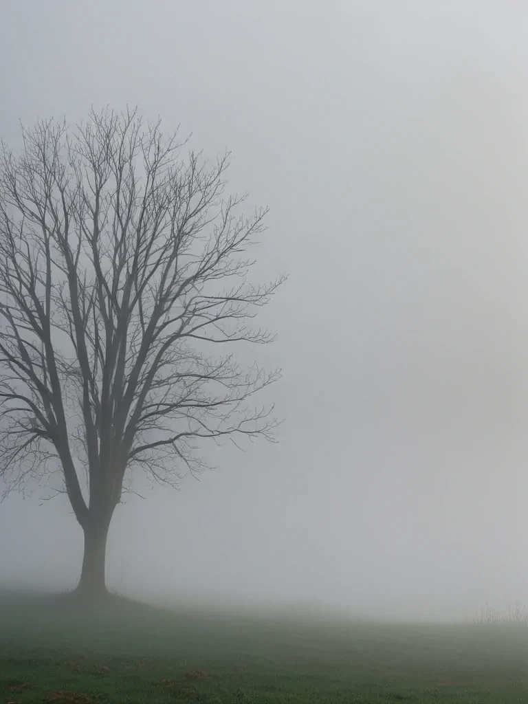 fog transparent background