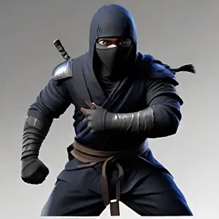 ninja png