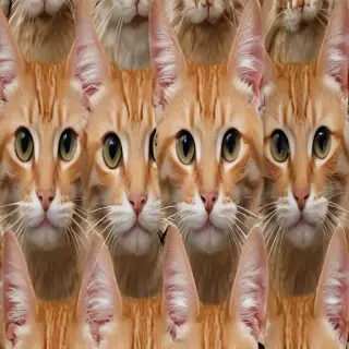 cat backgroud