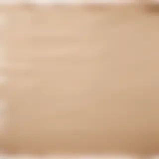 aesthetic ripped paper png
