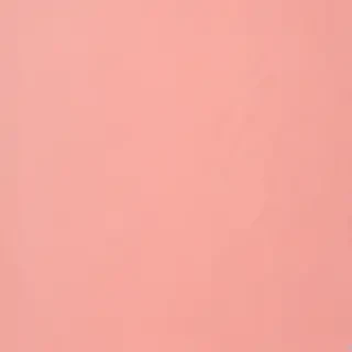 peach color background